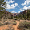 La Verkin Creek Trail.