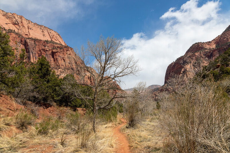 La Verkin Creek Trail shortly before camp site #5.