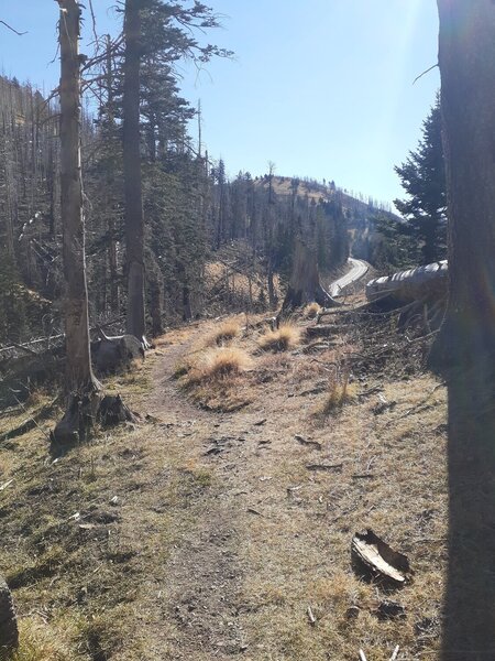 Narrow trail overlooking scenic road, fire damaged trees.