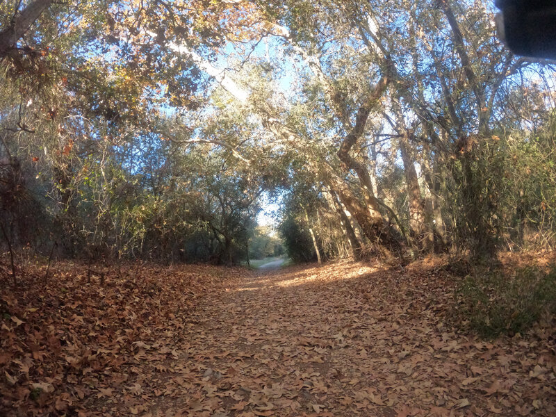 Most of the trail is riparian and quite cool.