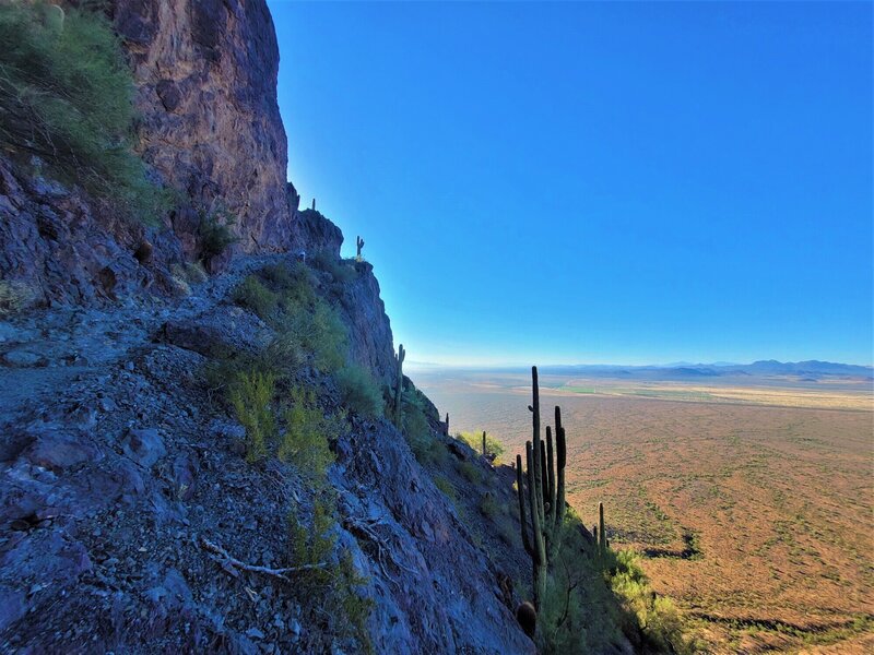 View from the trail.