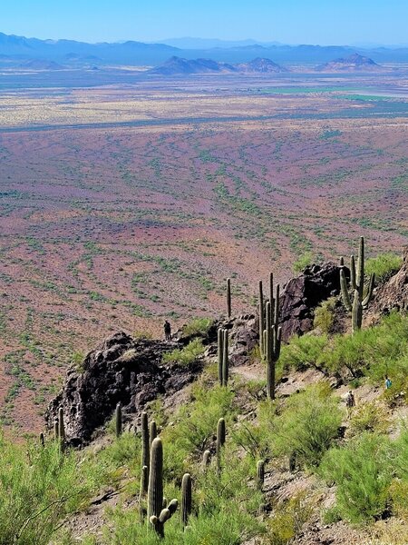 View from the trail