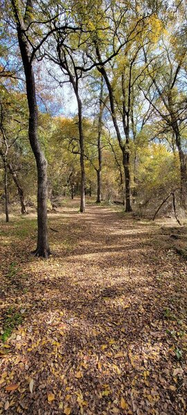 Trail is wide and mostly flat.