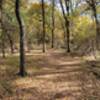 Trail is wide and mostly flat.