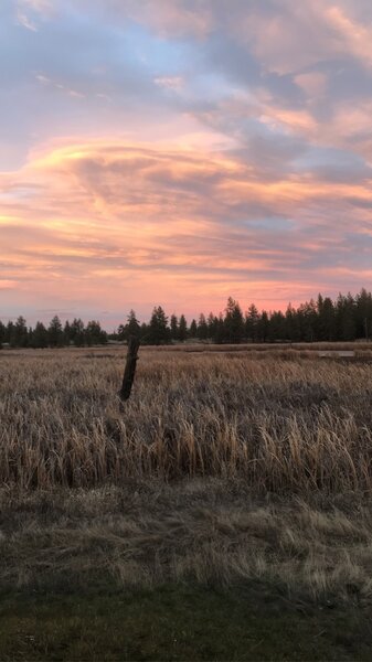 Views of wetlands around Blackhorse Lake.