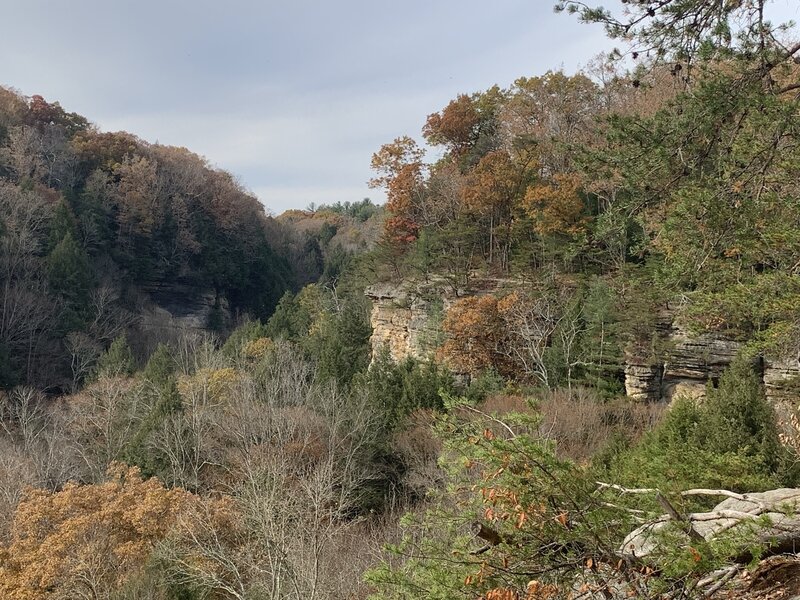 Cliff Walls