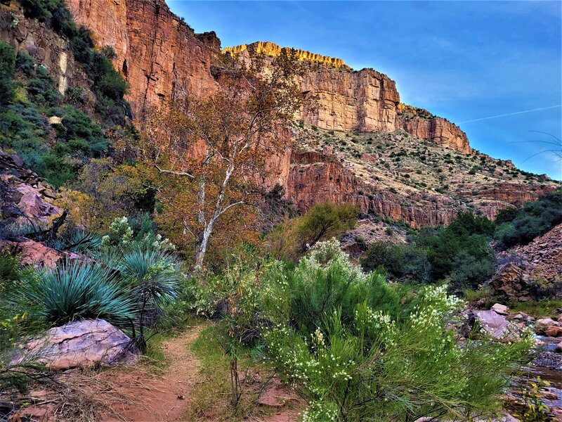 View from the trail