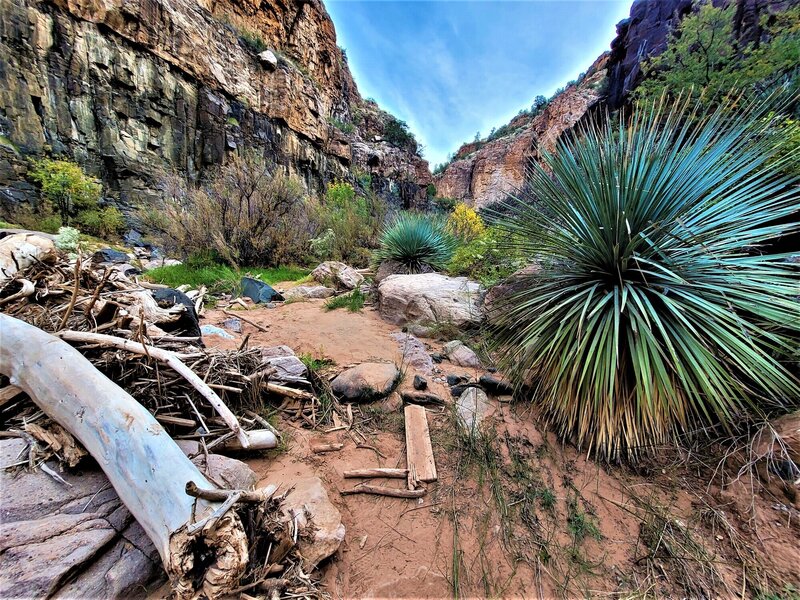 View from the trail