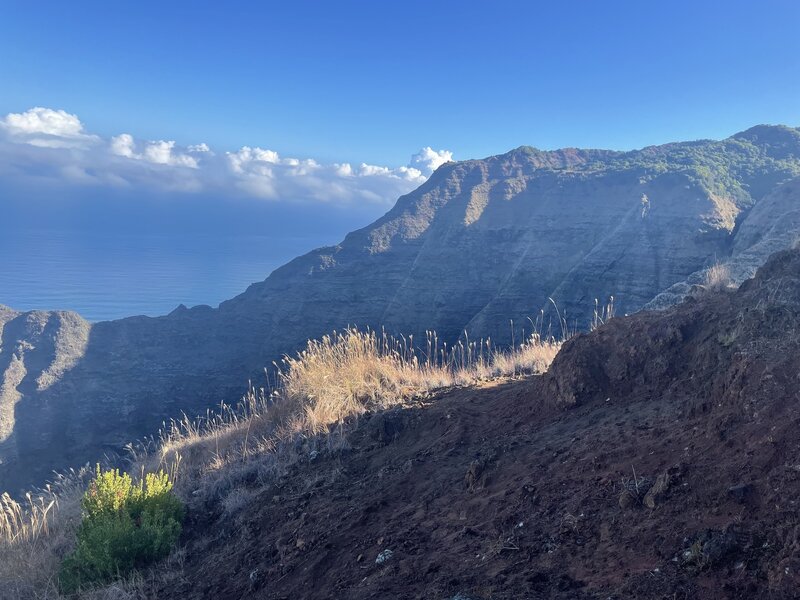 View from canyon edge