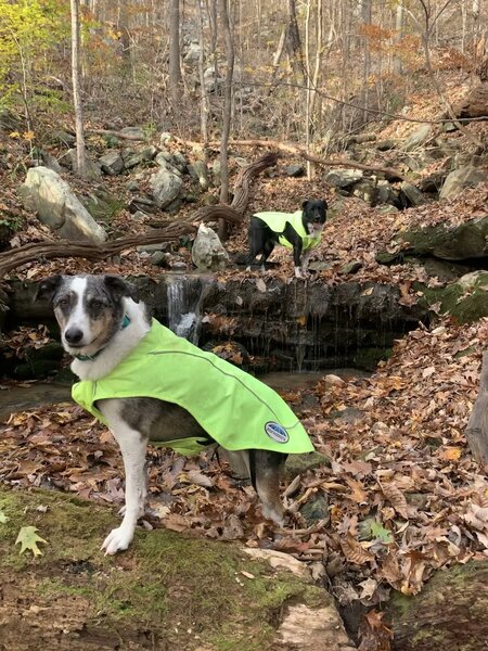 A spring is keeping water despite the dry fall weather.