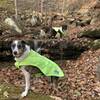 A spring is keeping water despite the dry fall weather.