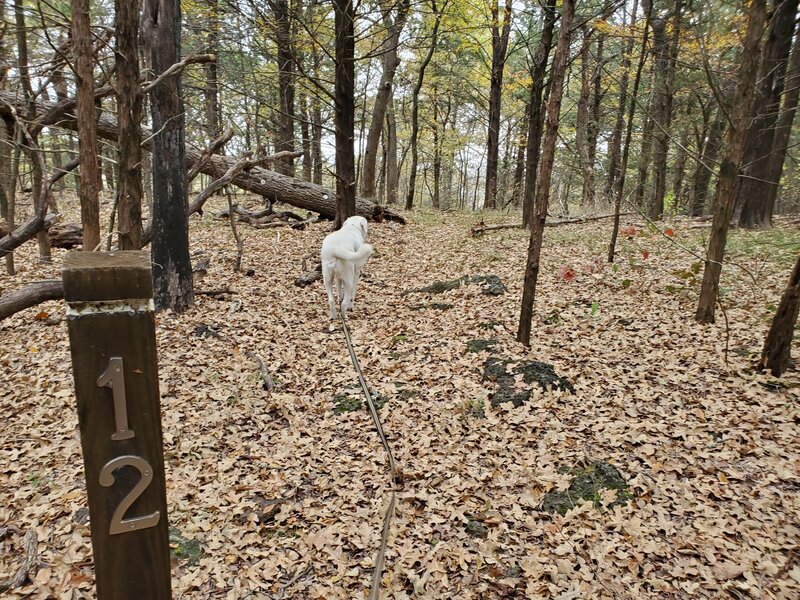 Cross Timbers Mile 12 marker