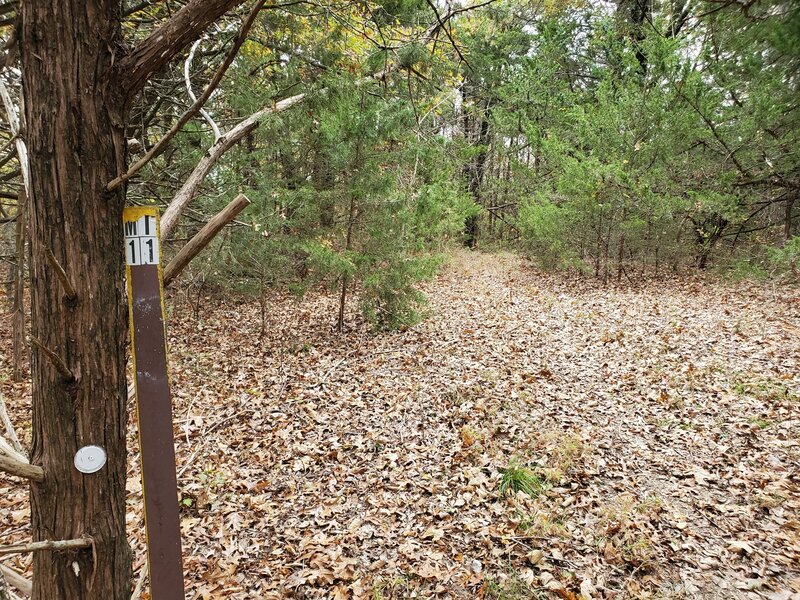 Cross Timbers Mile 11 marker