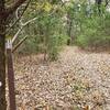 Cross Timbers Mile 11 marker