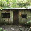 Hazen's Notch Camp Shelter (built 1997)