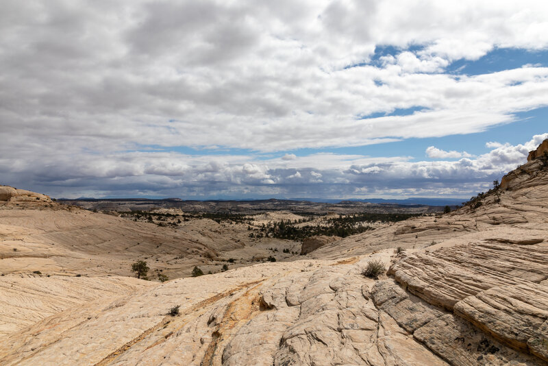 Slick rock as far as you can see