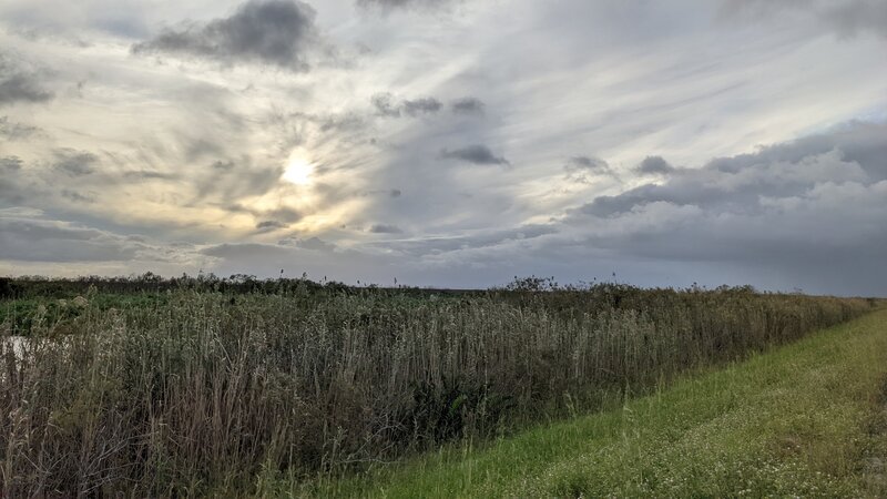 Gravel flat trail along canals and waterways!