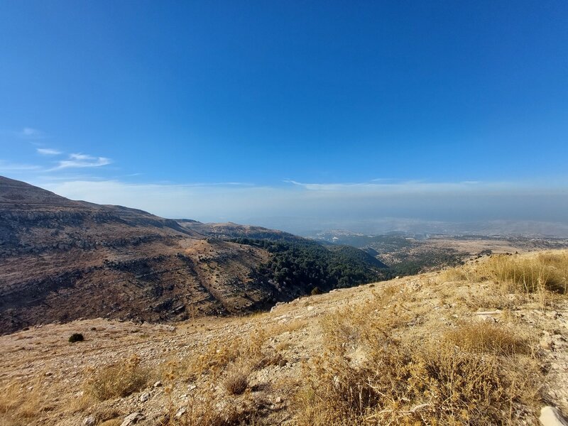 Horsh Ehden