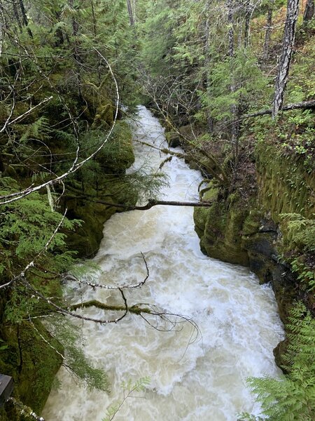 The suspension bridge offers nice views of the creek