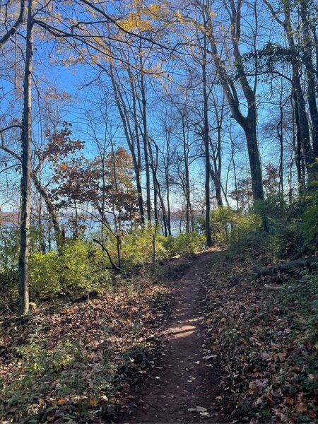 Calloway Ridge Trail in November.