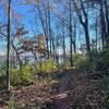 Calloway Ridge Trail in November.