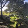 A rocky, forested hilltop along the route.