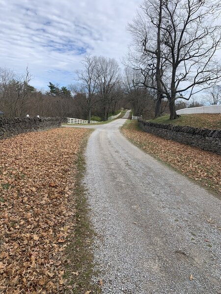 Some of the gravel portion of the grail.