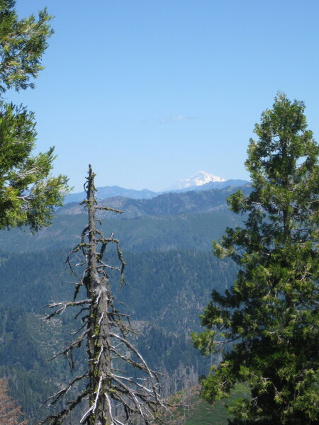 Mount Shasta from north of Trinity Summit Guard Station.