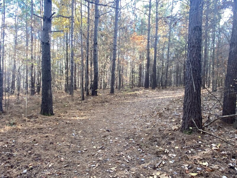 Wide well-marked trail.