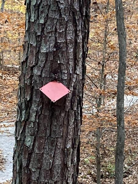Trail is marked with red diamonds.