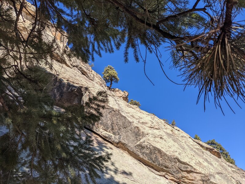 Along a steep portion of the trail.