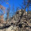 Elephant Butte Fire (July 2020) and the summit (8,405 ft).