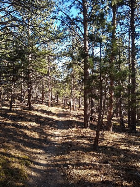 On the way down the trail.