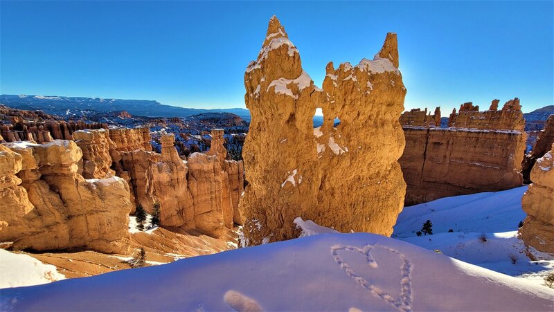 View from the trail.