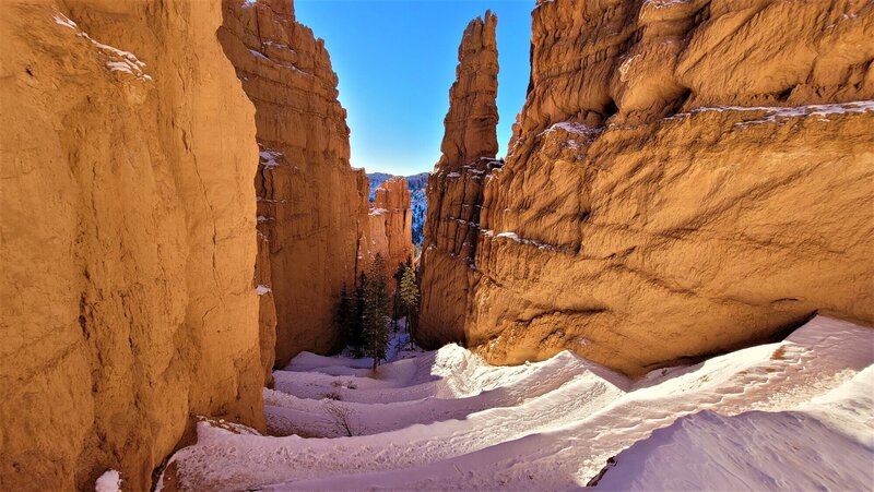 View from the trail.