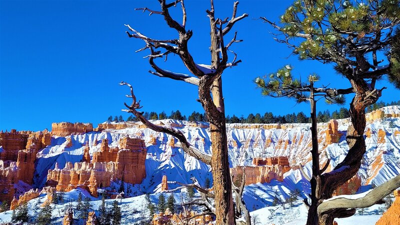 View from the trail.