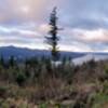 Panorama shot showing the north and south views from the Chanterelle Trail overlook.