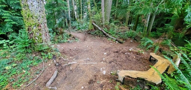 Fancy bench near one of the intersections with the 911 Trail. Be careful to head straight instead of down 911.