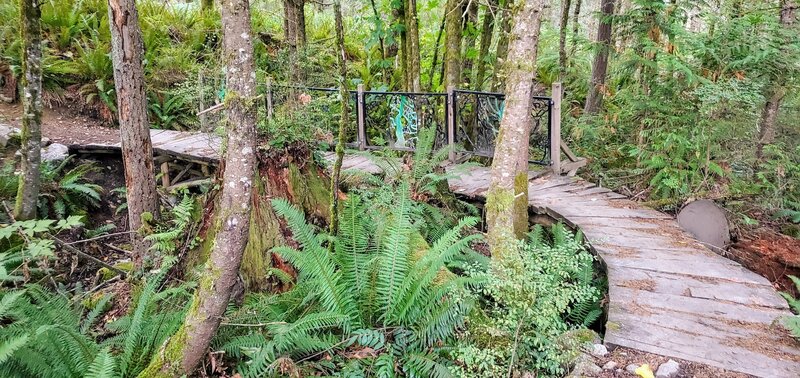 Nice bridge on the Jack and the Beanstalk trail.