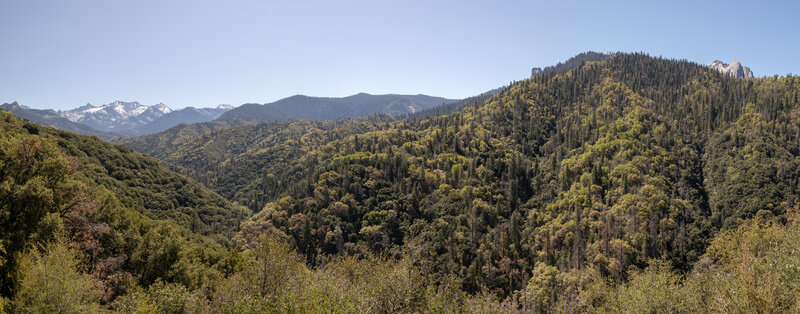 Castle Rocks and the Great Western Divide.