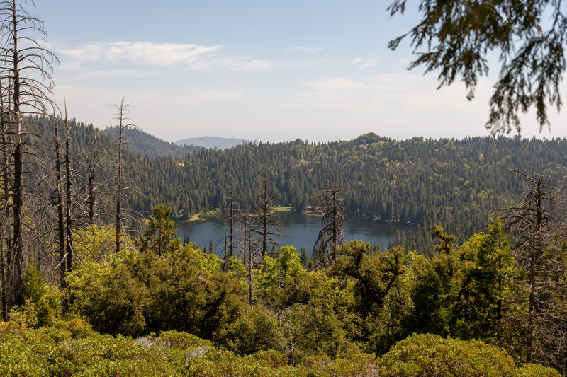 Sequoia Lake.