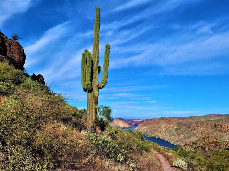 View from the trail.