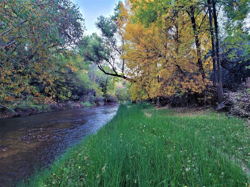 View from the trail.