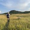 The grassland up to the summit. Watch for snakes.