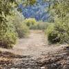 View down the trail.