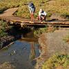 Looking for pupfish in Salt Creek.