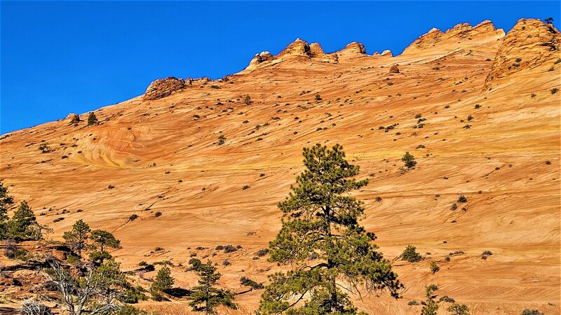 View from the trail.