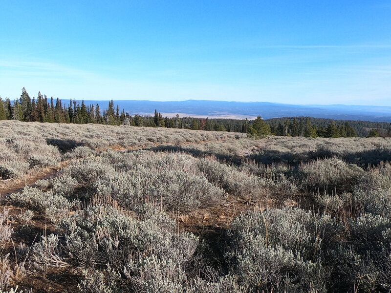 Big Summit Prairie from trail (12-3-2021).