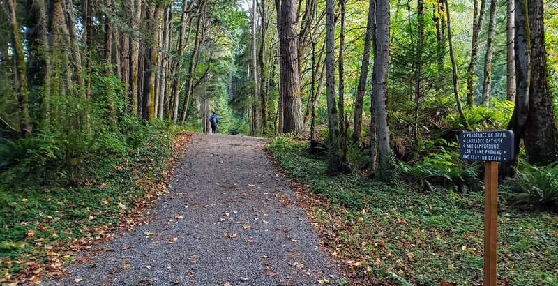 Interurban Trail where it intersects with a parking lot along Chuckanut Drive.