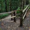 Interurban Trail intersection at the beginning of a pedestrian-only section (from the trail down to Chuckanut Drive). The Interurban Trail itself does allow bikes.